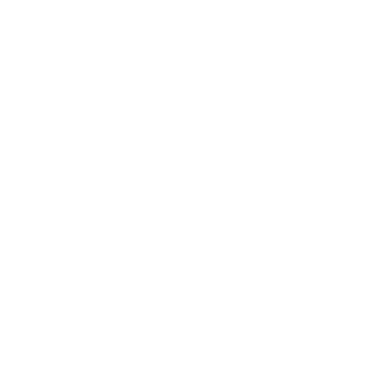 Логотип BELURSUS
